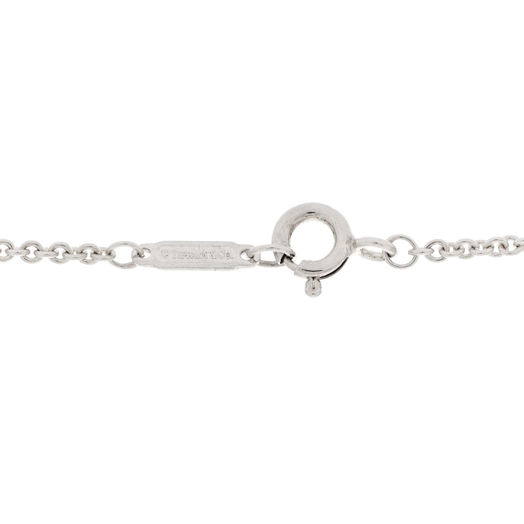 Sterling Silver Tag Chain Necklace