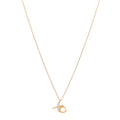 18K Yellow Gold Diamond Paloma Picasso Love & Kisses Pendant Necklace